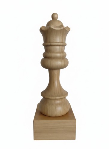 puchar królowa d -j1.jpeg