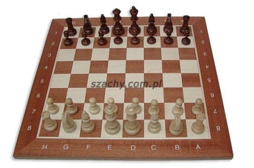 9e143a38fe0950d07b8e048ceec3a0df