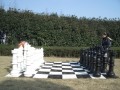 Szachy ogrodowe XL